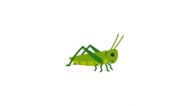 Illustration of a Green Cartoon Grasshopper on a White Background for Children's Media