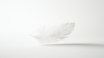 Obraz premium A single fluffy white feather falling in slow motion, its details captured against a clean, minimalist white background.
