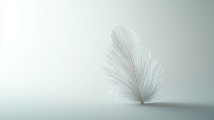 Obraz premium A single fluffy white feather falling in slow motion, its details captured against a clean, minimalist white background.
