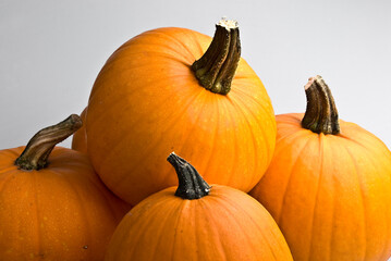 Orange round pumpkins in basket