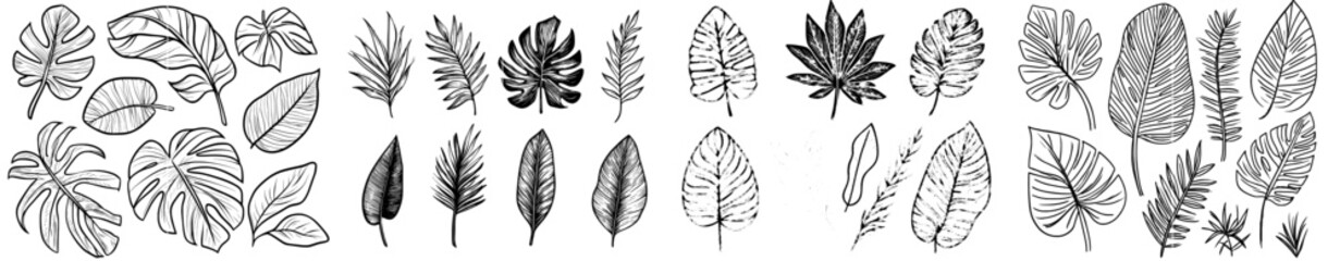 Botanical leaves, canna leaves, banana leaves, engraved ink art for fabric, textile prints, and wrapping paper.