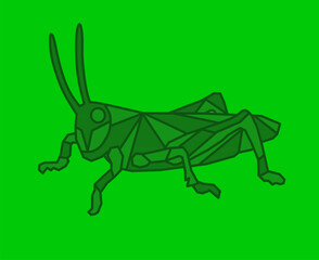 Grasshopper. Vector Grasshopper. Grasshopper Geometric Design. Grasshopper green background