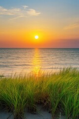 Golden sunset illuminating the tranquil sea and grassy shoreline at a coastal location