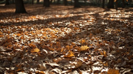 Fototapeta premium Wind blowing through a field of dry leaves, with the sound of rustling creating a sense of anticipation and tension, while shadows stretch across the ground.