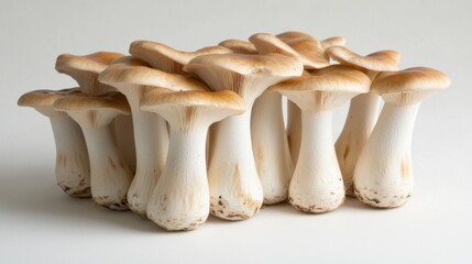 A group of King oyster mushrooms neatly arranged on a white surface, highlighting their firm, elongated stems and light brown caps.
