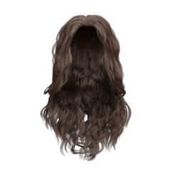 3d render soft curl wavy long brown hair isolated