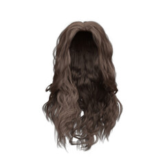 3d render soft curl wavy long brown hair isolated