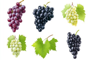 Set of various types of grapes (Black, white and red grape) with leaf flying isolated on white background , ai