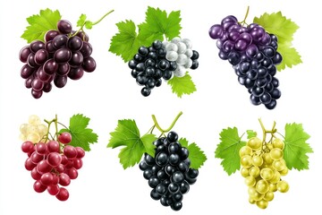 Set of various types of grapes (Black, white and red grape) with leaf flying isolated on white background , ai