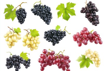Set of various types of grapes (Black, white and red grape) with leaf flying isolated on white background , ai