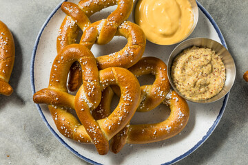Homemade Bavarian Soft Pretzels with Salt