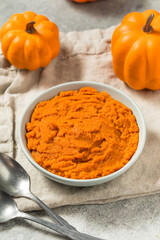 Organic Raw Orange Canned Pumpkin Puree