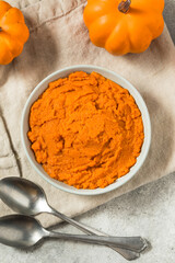 Organic Raw Orange Canned Pumpkin Puree