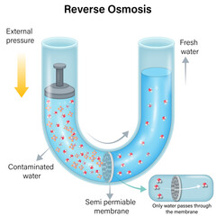 Detailed Vector Illustration of Reverse Osmosis Mechanism Using Semipermeable Membrane: An In-Depth Look at Water Purification Process with Labels
