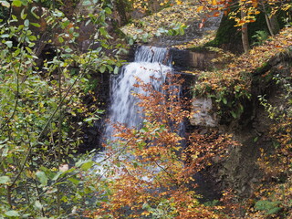 Wodospad w lesie © Patryk