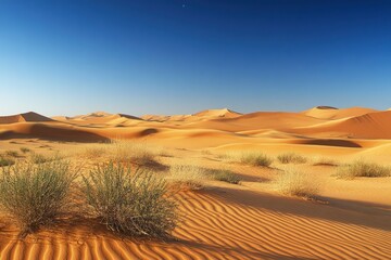Remah Desert, Al Ain, Abu Dhabi, United Arab Emirates, Middle East, ai
