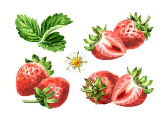 Strawberry berries with leaves set set. Watercolor hand drawn illustration isolated on white...