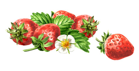 Strawberry. Watercolor hand painted illustration, isolated on white  background