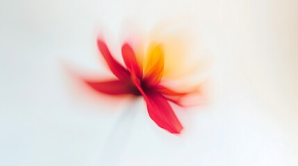 A blurred photograph of an abstract red flower on a white background