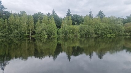 reflection of trees in the lake