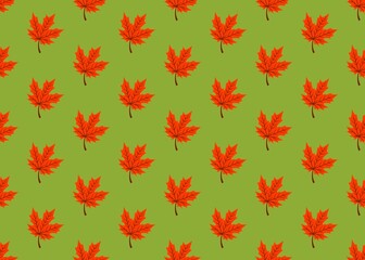 Dry autumn leaves. Pattern with yellow fallen leaves. Orange autumn leaves on a green background. Golden season. Maple leaves.