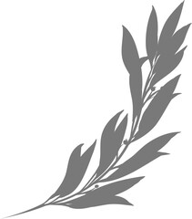 Gray color Olive tree branch.