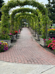 A serene garden featuring large flower pots and towering firs surrounding a green archway, leading to a tunnel. The road, made of red tiles, adds charm to the peaceful, green setting in Edam.