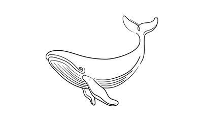 Whale continuous line art drawing isolated on white background. Wildlife animals. Vector illustration