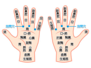 手のツボの図解イラスト素材