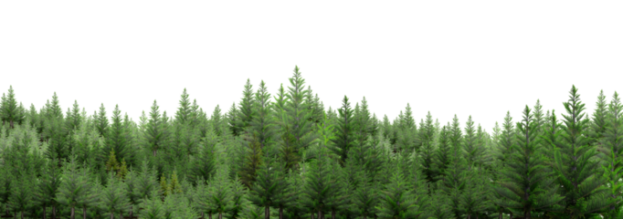 a set of woodland trees and shrubs, tall pine trees, green shrubs, 