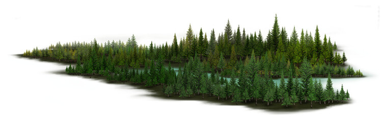 a set of woodland trees and shrubs, tall pine trees, green shrubs, 