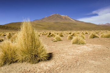 Majestic Andean Volcano Rising Above the Altiplano of Bolivia