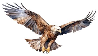 Fototapeta premium PNG Buzzard vulture animal flying.