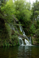 Obraz premium waterfall in the forest
