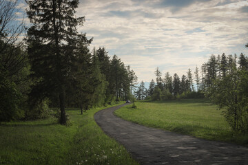 czech countryside, summer scenery