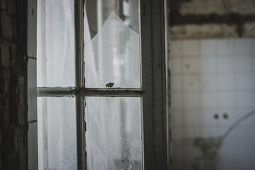 abandoned decaying sanatorium exploration in Czech republic