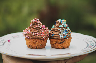 delicious chocolate cupcakes desert birthday party