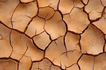 Close-up image of dry, cracked earth showing deep fissures and broken surface due to arid conditions and drought.