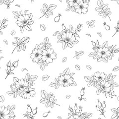 Floral seamless pattern with flowers, plants, berries.