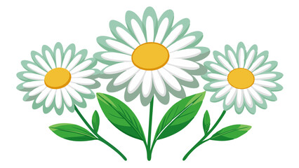Stunning White Daisy Illustration with Yellow Center and Lush Green Leaves - Perfect for Floral Designs and Botanical Themes, Daisy Vector Illustration