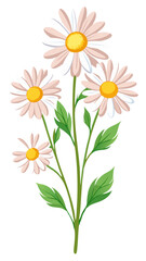 Stunning White Daisy Illustration with Yellow Center and Lush Green Leaves - Perfect for Floral Designs and Botanical Themes, Daisy Vector Illustration