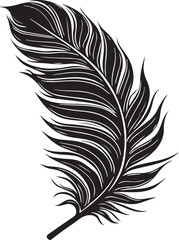 Obraz premium feather isolated on white background