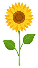 Yellow Sunflower Illustration with Vibrant Brown Center and Fresh Green Leaves - Ideal for Summer and Gardening Themes