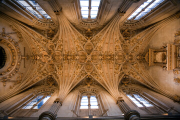 Leon, Spain, Aug 21 2008, Starlit Vault of the Sacristy in San Marcos Church, León, Spain