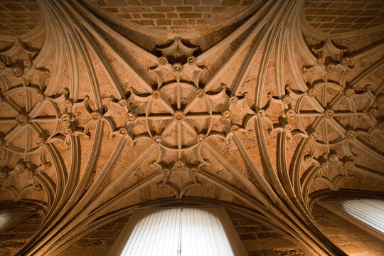 Leon, Spain, Aug 21 2008, Stunning Starry Vaults of the San Marcos Hospital Cloister in Le&oacute;n