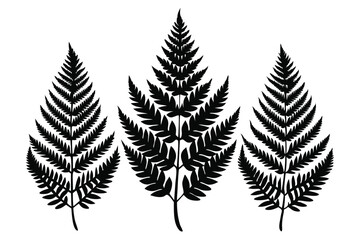 A pack of fern leaf silhouettes vector illustration