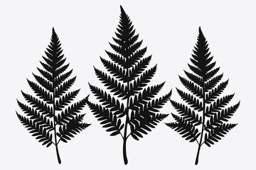 Naklejka premium A pack of fern leaf silhouettes vector illustration