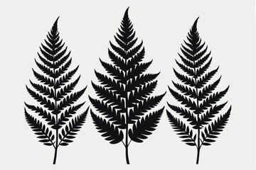 A pack of fern leaf silhouettes vector illustration