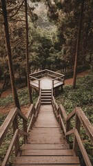 A wooden staircase leads to a platform in the middle of a dense forest, The platform is surrounded by trees, and the forest floor is covered with green leaves