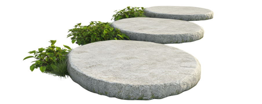 Three large round stepping stones in a neatly arranged garden path, bordered by green foliage, on a white background.